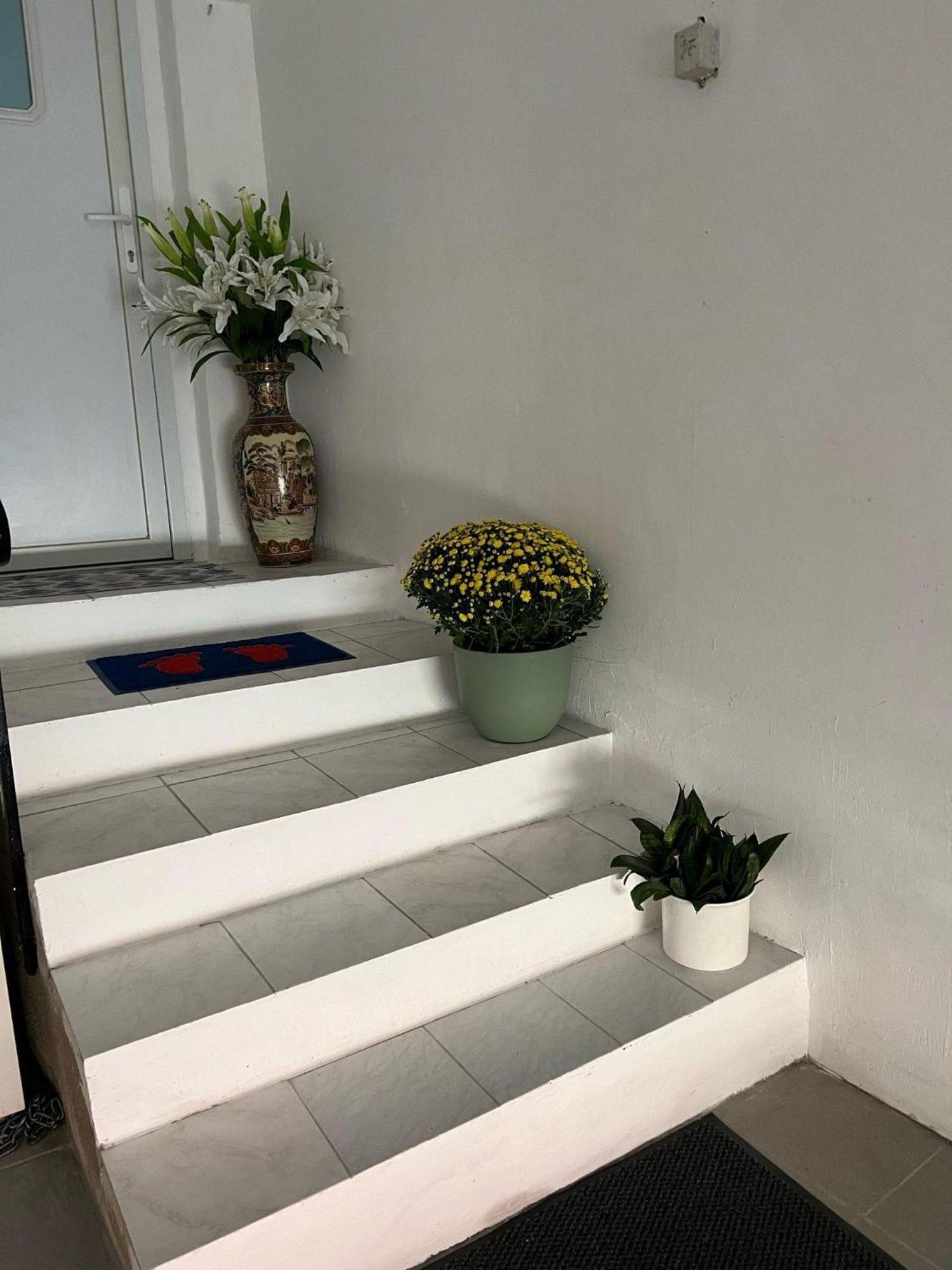Linh'S Ferienwohnung Saarburg Eksteriør billede